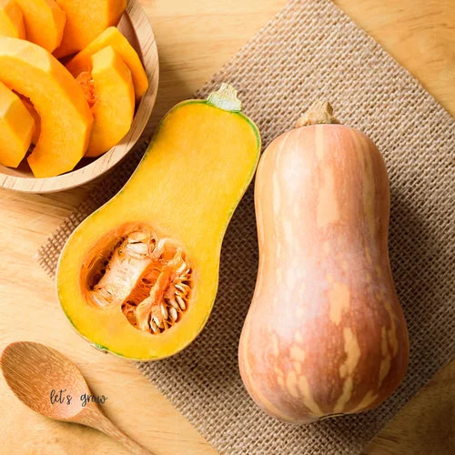 Creamy Butternut Squash Pasta: A Cozy Comfort Dish