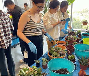 Succulent Container Workshop