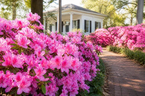 What This Spring's Strange Weather Means for Your Lawn, Garden, and Plants