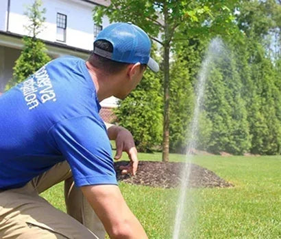 DIY Tips for Irrigation, Fertilization, and Chemical Usage