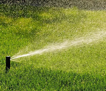 Irrigation Techniques During Summer Months for Weed and Disease Management
