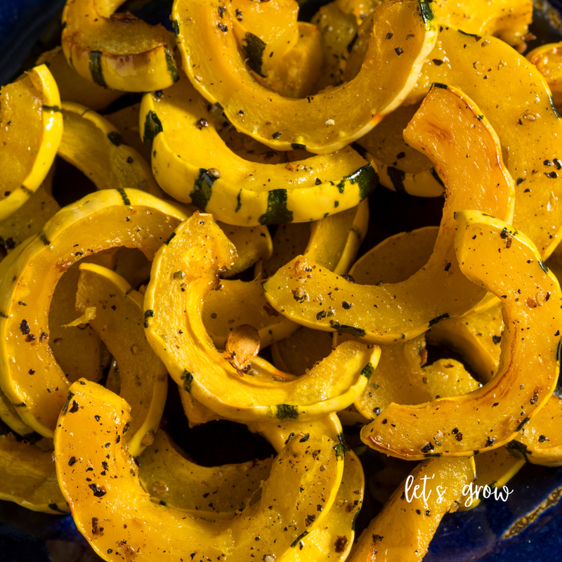 How to Cook Delicata Squash: Easy Roasted and Stuffed Recipes