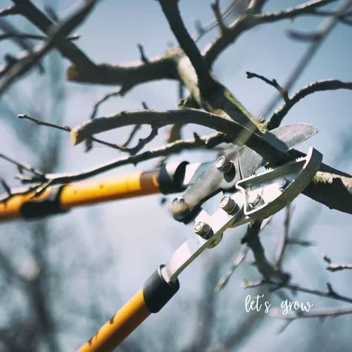 What Not to Do Right Now If You Don’t Want to Ruin Your Landscape Before Spring Jan 23