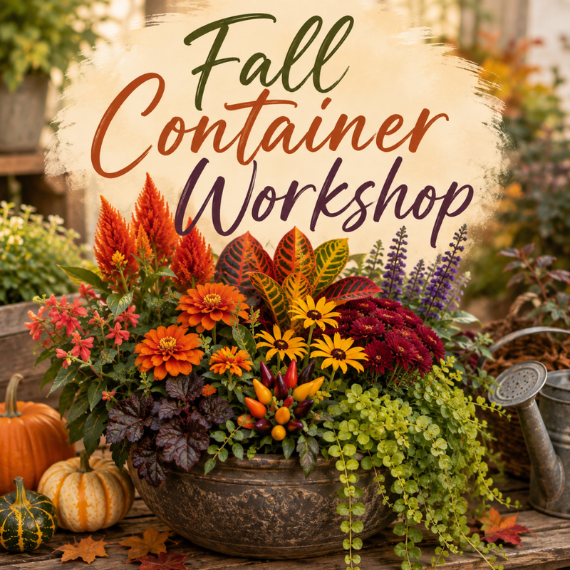 Fall Container Workshop