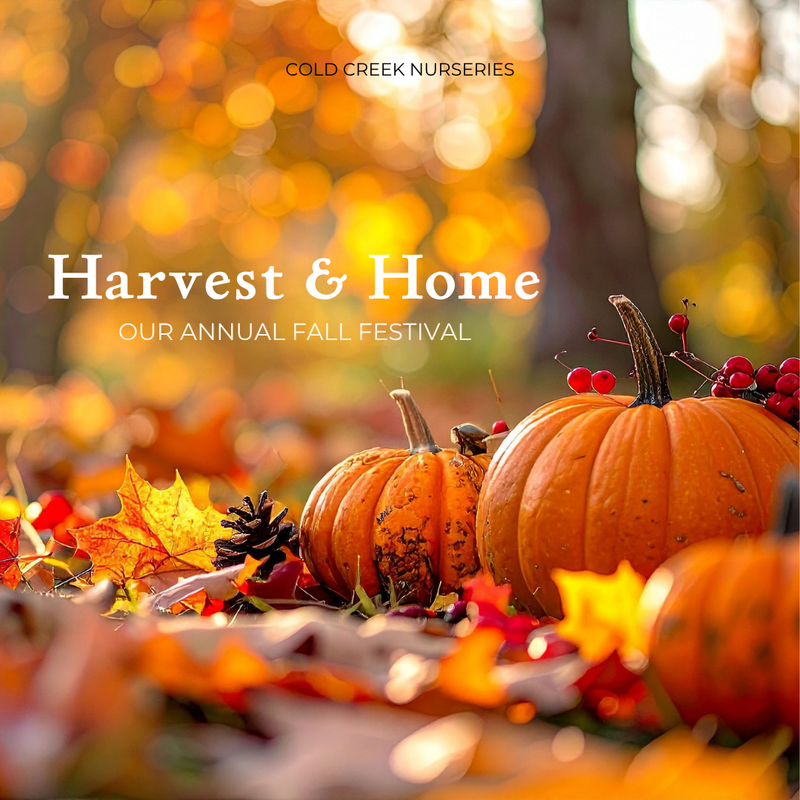 Harvest & Home
