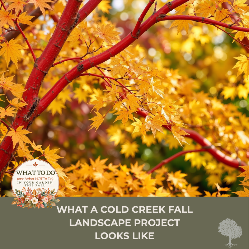 What a Cold Creek Fall Landscape Project Looks Like
