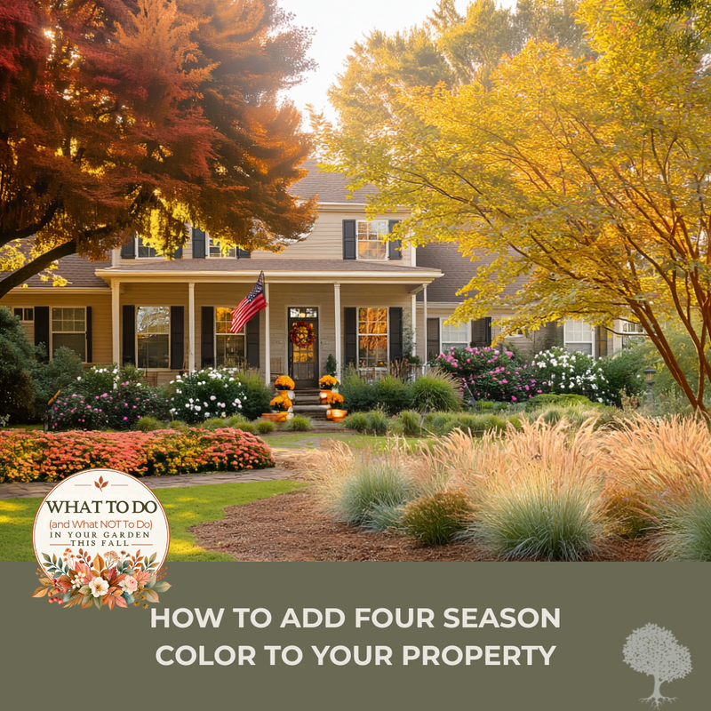 How to Add Four-Season Color to Your Property