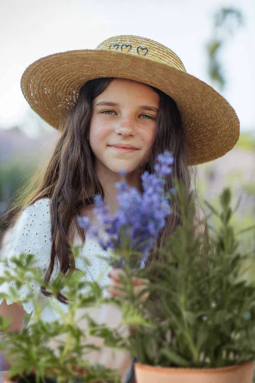 Let’s Grow Lavender