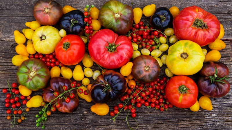 Cherokee Purple, Brandywine, Stripes, and Tye Dye: A Taste Guide to Heirloom Tomatoes