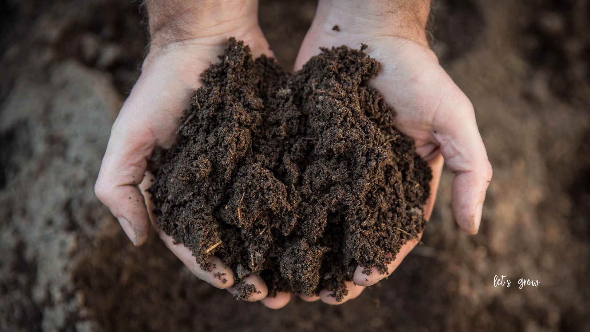 What "Let's Grow" Really Means at Cold Creek Nurseries
