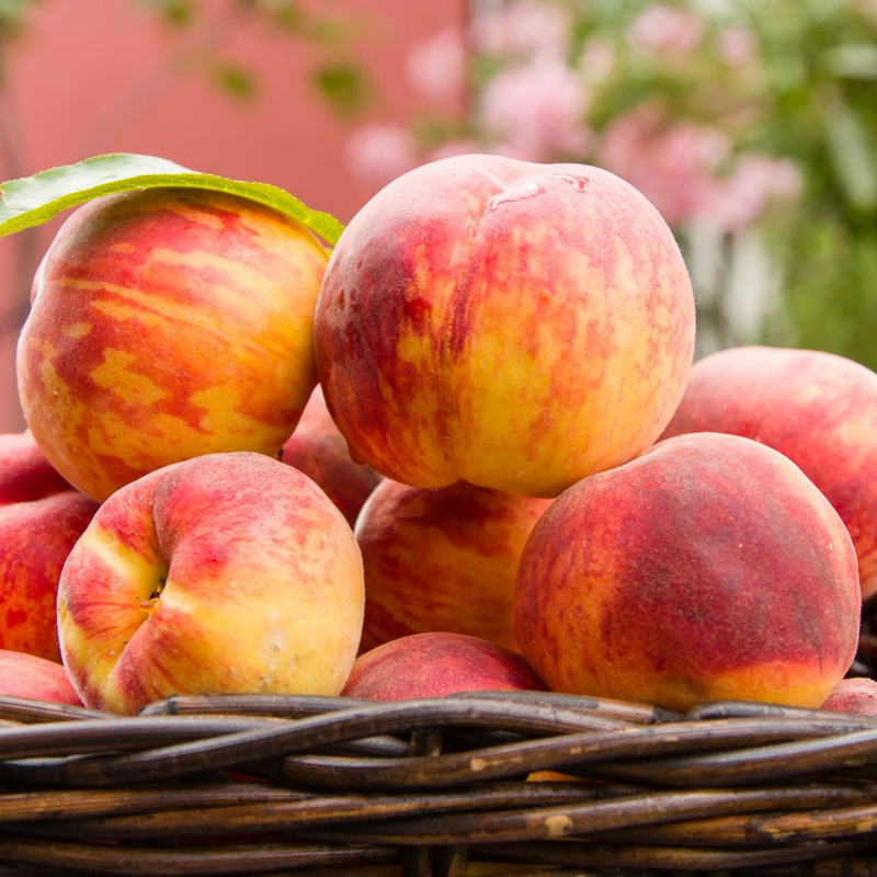 Peach, Love, & Happiness