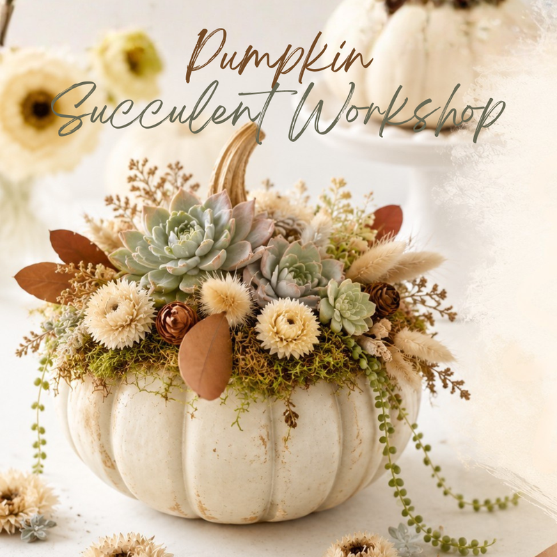 Pumpkin Succulent Workshop