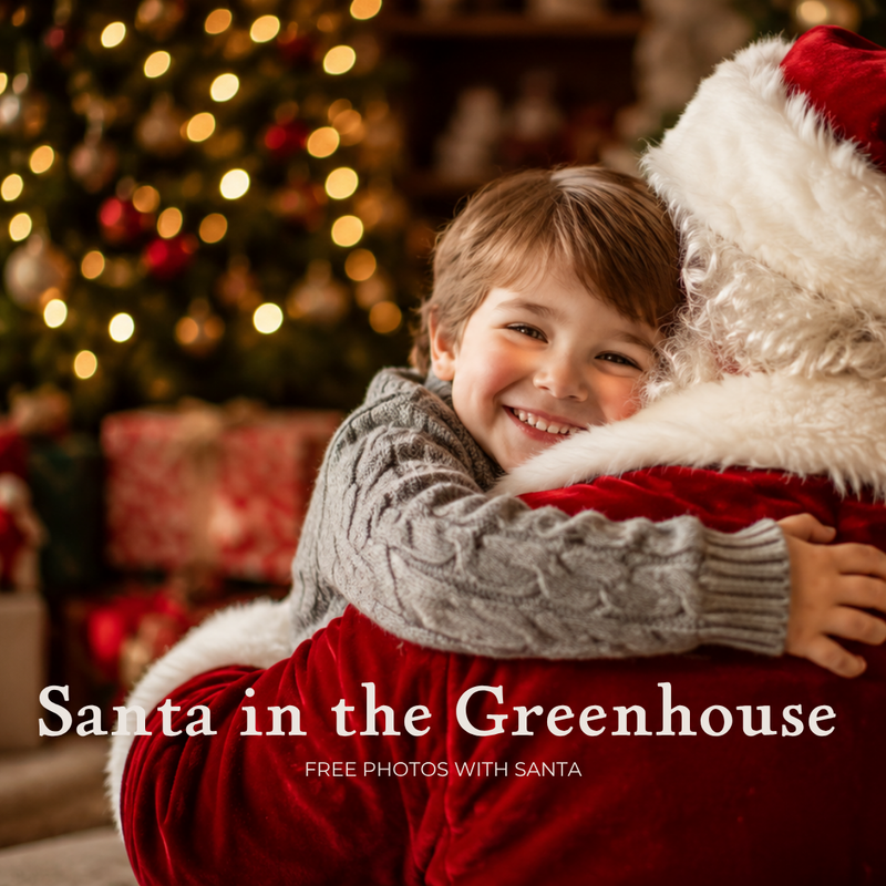 Santa in the Greenhouse