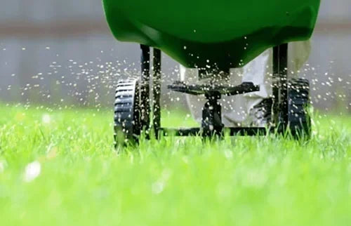 Preparing Your Landscape for Winter