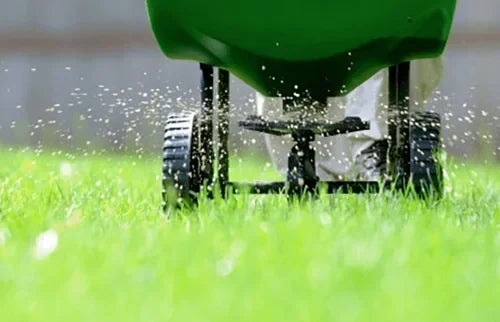 Preparing Your Landscape for Winter