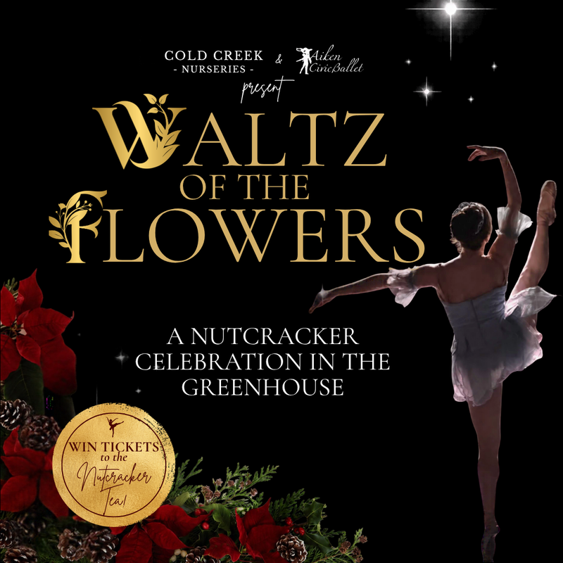 Waltz of the Flowers