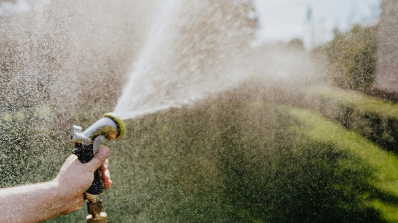 3 Watering Tips That Will Transform Your Landscape