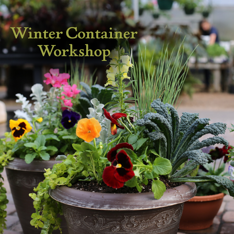 Winter Container Workshop