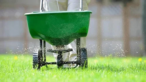 The Cold Creek Nurseries Five Bag Program: Your DIY Guide to the Perfect Lawn