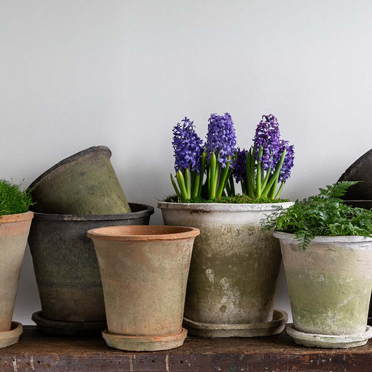 Large Tapered Farmer's Pot