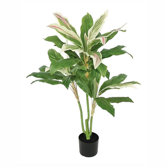 Faux Cordyline Plant X3 in Pot