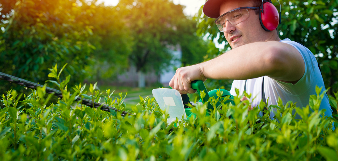 Join the Cold Creek Nurseries Team
and Grow with Us!
