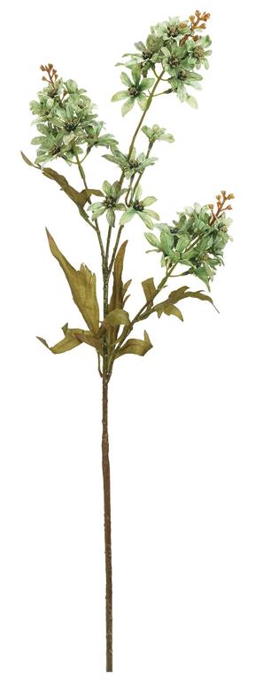 Faux Lacecap Hydrangea Spray Green