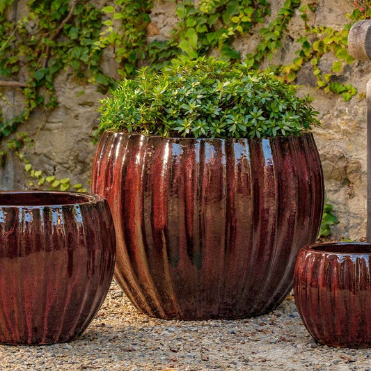 Cabernet Planter Bordeaux