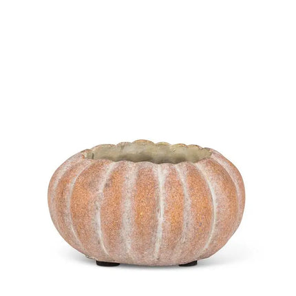 Cement Pumpkin Planter Low