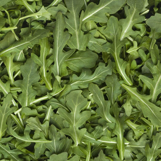 MKT Fresh Arugula (Each)