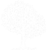 Collection banner logo