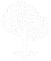 Collection banner logo