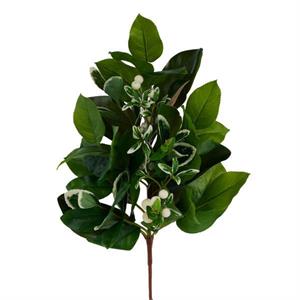 Green Leaves Berries Spray