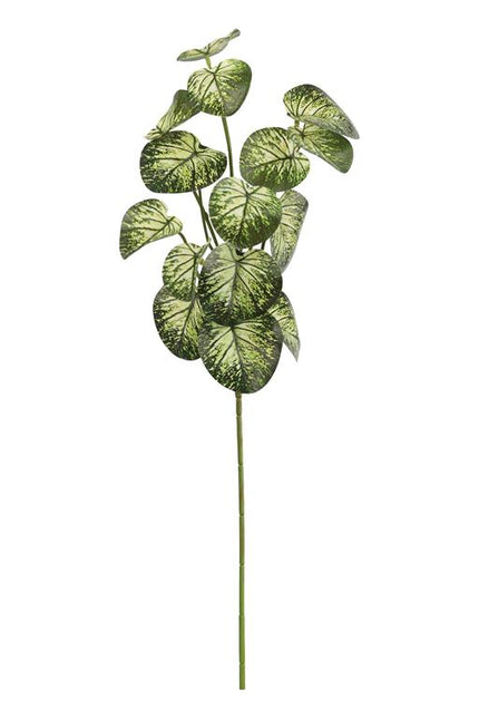 Faux Peperomia Spray 21.5"