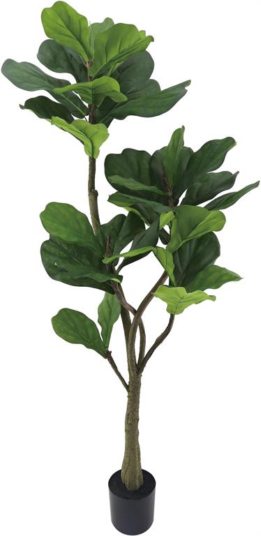 Fiddle Leaf Tree in Pot