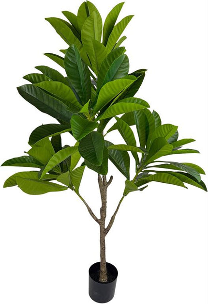 Faux Elaeocarpus Leaf w Pot Green
