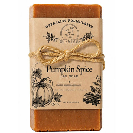 Organic Vegan Pumpkin Spice Bar Soap