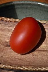 Mariana Tomato