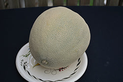 Ambrosia Cantaloupe