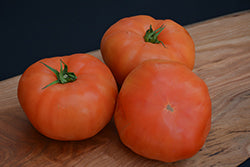 Classic Beefsteak Tomato