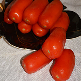 La Roma III Tomato