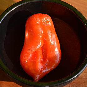 Habanero Red Pepper