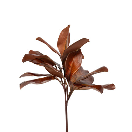 Magnolia Leaf Spray Bourbon