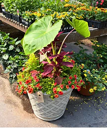 Effortless Style for Your Garden