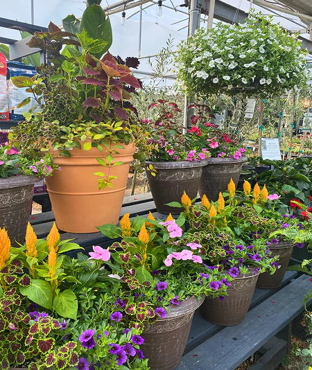 Effortless Style for Your Garden