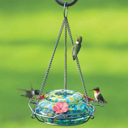 Illuminated Top Fill Hummingbird Feeder
