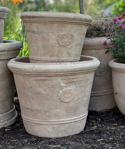 Palmhouse Kew Frost Proof Terracotta Planter