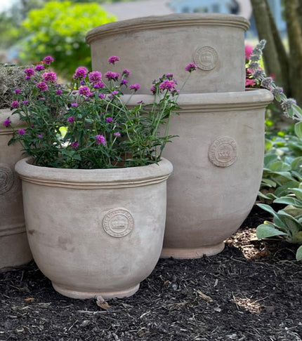 Temperate House Kew Frost Proof Pot