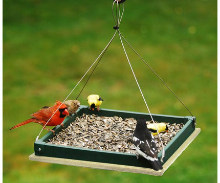 Hanging Platform Feeder 12.5"