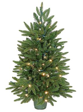 Fraser Fir Tree in Pot LED (3 ft.)